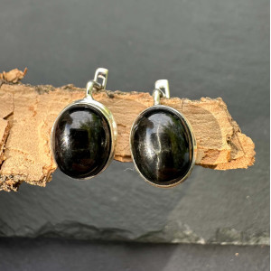 Earrings with star diopside in silver