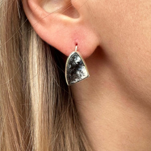 Earrings with Landscape Agate in silver